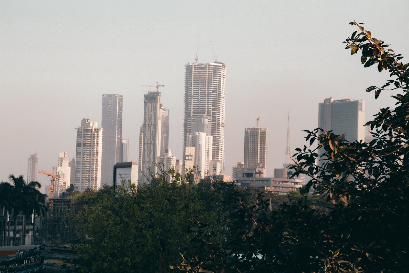 pexels-k3ithvision-11505497